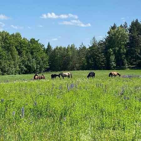 Koziula - Domki I Lesne Spa Na Kaszubach Przywidz  Eksteriør bilde