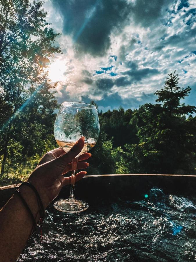 Koziula - Domki I Lesne Spa Na Kaszubach Przywidz  Eksteriør bilde